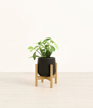 Load image into Gallery viewer, Black stand:bamboo
