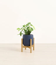 Load image into Gallery viewer, Deep Navy stand:bamboo
