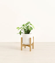 Load image into Gallery viewer, White stand:bamboo
