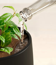 Load image into Gallery viewer, Black stand:all
