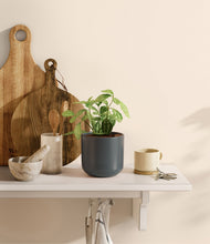 Load image into Gallery viewer, Iron Gray
