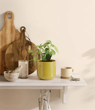 Load image into Gallery viewer, Key Lime Yellow
