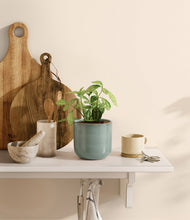 Load image into Gallery viewer, Reactive Aqua
