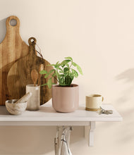 Load image into Gallery viewer, Sandy Pink
