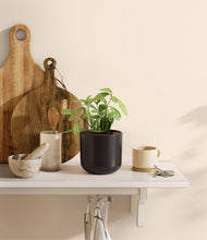 Load image into Gallery viewer, Stone Black
