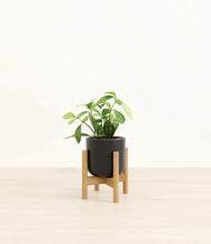 Load image into Gallery viewer, Stone Black stand:bamboo
