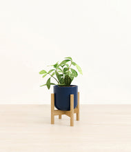 Load image into Gallery viewer, Twilight Blue stand:bamboo
