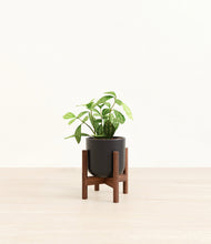 Load image into Gallery viewer, Stone Black stand:walnut
