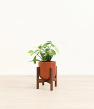 Load image into Gallery viewer, Glossy Red stand:walnut
