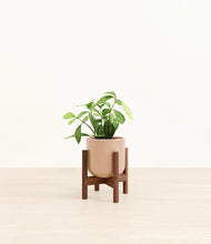 Load image into Gallery viewer, Glossy Pink stand:walnut
