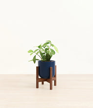 Load image into Gallery viewer, Twilight Blue stand:walnut

