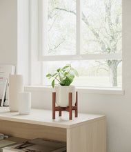 Load image into Gallery viewer, Cotton White stand:walnut
