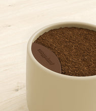 Load image into Gallery viewer, Olive stand:all
