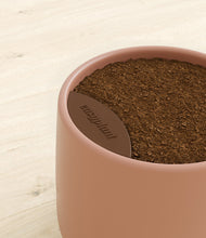 Load image into Gallery viewer, Calm Rose stand:bamboo
