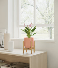 Load image into Gallery viewer, Calm Rose stand:bamboo
