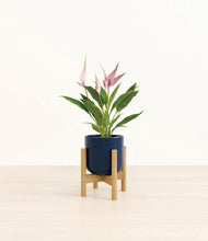 Load image into Gallery viewer, Twilight Blue stand:bamboo

