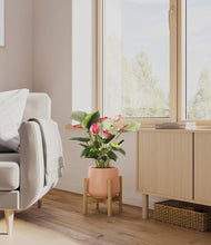 Load image into Gallery viewer, Calm Rose stand:bamboo
