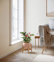 Load image into Gallery viewer, Calm Rose stand:bamboo
