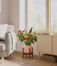 Load image into Gallery viewer, Calm Rose stand:walnut
