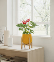 Load image into Gallery viewer, Mustard stand:bamboo
