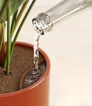 Load image into Gallery viewer, Glossy Red stand:all
