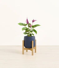 Load image into Gallery viewer, Deep Navy stand:bamboo
