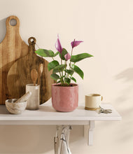 Load image into Gallery viewer, Hammered Rose Pink
