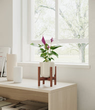 Load image into Gallery viewer, Cotton White stand:walnut
