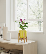 Load image into Gallery viewer, Key Lime Yellow stand:bamboo
