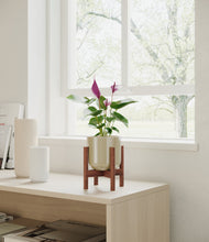 Load image into Gallery viewer, Sage Green stand:walnut
