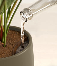 Load image into Gallery viewer, Earthy stand:all
