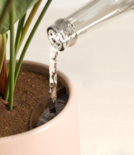 Load image into Gallery viewer, Sandy stand:all
