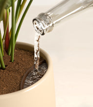 Load image into Gallery viewer, Almond Green stand:all
