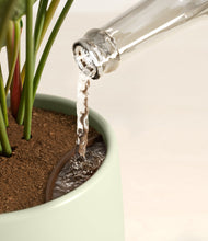 Load image into Gallery viewer, Turquoise stand:all
