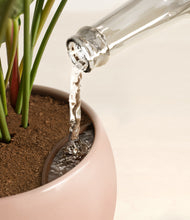 Load image into Gallery viewer, Calm Rose stand:all
