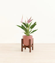 Load image into Gallery viewer, Hammered Rose Pink stand:walnut
