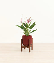 Load image into Gallery viewer, Striped Cherry Red stand:walnut
