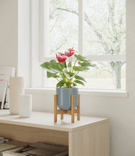 Load image into Gallery viewer, Misty Blue stand:bamboo
