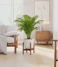 Load image into Gallery viewer, Natural Bamboo stand:walnut

