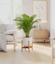 Load image into Gallery viewer, Natural Bamboo stand:bamboo
