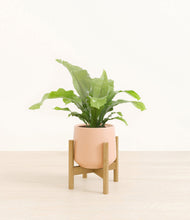 Load image into Gallery viewer, Gentle Pink stand:bamboo
