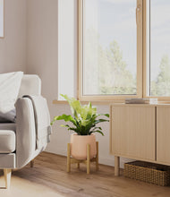 Load image into Gallery viewer, Gentle Pink stand:bamboo
