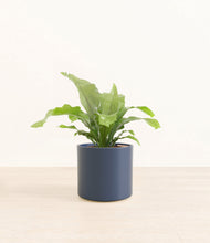 Load image into Gallery viewer, Deep Navy*****Profile
