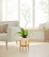 Load image into Gallery viewer, Cream stand:bamboo
