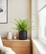 Load image into Gallery viewer, Black stand:all
