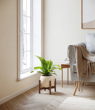 Load image into Gallery viewer, Shiny EggWhite stand:walnut
