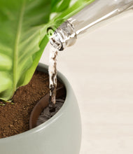 Load image into Gallery viewer, Earthy stand:all
