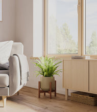 Load image into Gallery viewer, Olive stand:walnut
