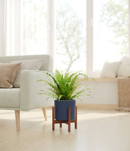 Load image into Gallery viewer, Deep Navy stand:walnut
