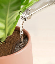 Load image into Gallery viewer, Evening Sky
